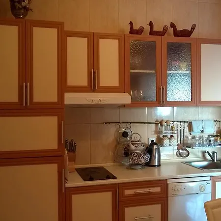 Apartament Joy شقة بودغوريتْسا